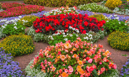 The Historical Evolution of Raised Beds and Planters in UK Gardens