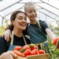 A Comprehensive Guide to Organic Practices in Allotment Gardening in the UK