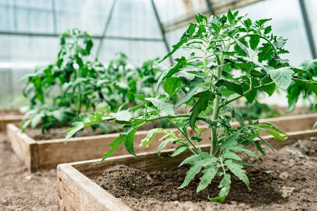 Passive and Active Heat Retention Methods: Maximising Insulation in UK Greenhouses