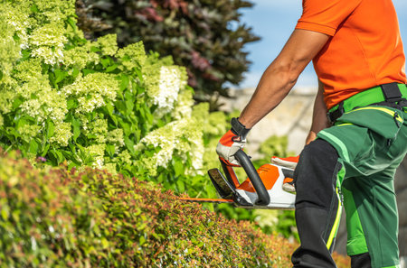 Best Practices for Maintaining Garden Equipment During Wet Weather