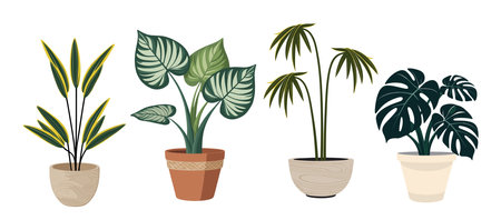 Caring for Your Greenhouse Beauties