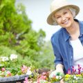 Identifying and Managing Aphids in UK Gardens: Prevention, Natural Remedies, and Chemical Solutions