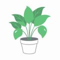 Recognising Signs of Advanced Plant Disease in the UK: When DIY Solutions Fall Short