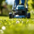 Petrol vs Electric vs Manual Lawn Mowers: Which Is Best for Your UK Lawn?