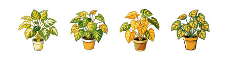 How to Use Colour Theory in Seasonal Garden Planning