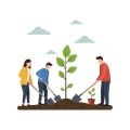 DIY Guide: Building Your Own Rainwater Collection System Using Budget-Friendly Materials