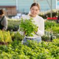 Traditional British Winter Vegetables and How to Successfully Cultivate Them