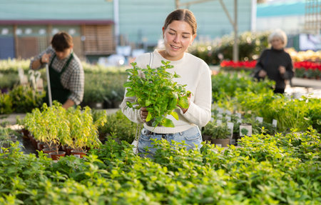 Traditional British Winter Vegetables and How to Successfully Cultivate Them