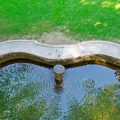 Sustainable Ways to Top Up Your Pond and Manage Water Levels in Changing Weather