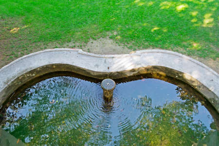 Sustainable Ways to Top Up Your Pond and Manage Water Levels in Changing Weather
