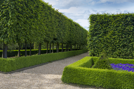 Enhancing Your Outdoor Space: Best Lighting Practices for British Gardens