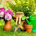 How to Properly Clean, Oil, and Store Gardening Tools for Long-Lasting Performance in British Gardens