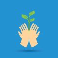 From Peat to Plastic: A Deep Dive into High-Carbon Footprint Garden Materials