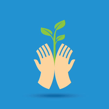 From Peat to Plastic: A Deep Dive into High-Carbon Footprint Garden Materials