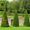 Creating Natural Habitats: Ponds, Hedgerows, and Meadows in Your Garden