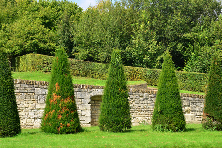 Creating Natural Habitats: Ponds, Hedgerows, and Meadows in Your Garden