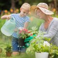 A Comprehensive Guide to the Most Essential Tools for British Gardeners