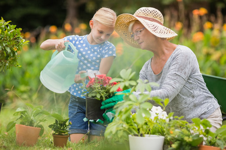 A Comprehensive Guide to the Most Essential Tools for British Gardeners