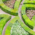 How to Plan and Design Pathways for a Cohesive British Garden Layout