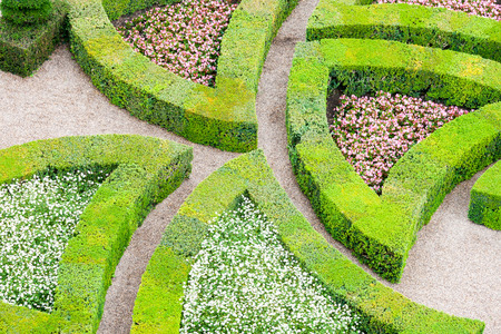 How to Plan and Design Pathways for a Cohesive British Garden Layout