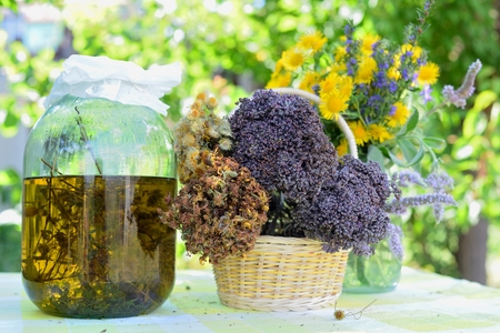 Making Your Own Homemade Slug and Snail Deterrents: DIY Methods for UK Gardeners