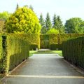 The Evolution of Garden Pathways: British Styles From Classic to Contemporary