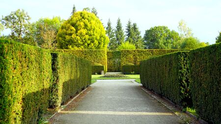 The Evolution of Garden Pathways: British Styles From Classic to Contemporary