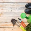 Key Dates for Starting Vegetables Indoors and Outdoors in the UK