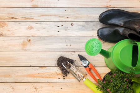 Key Dates for Starting Vegetables Indoors and Outdoors in the UK