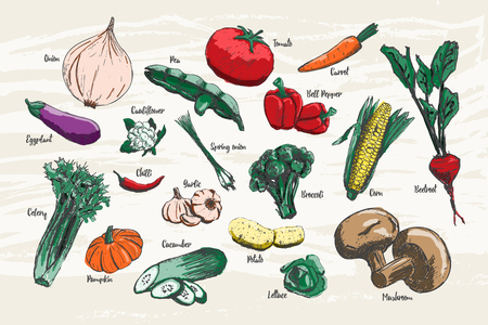 Top Traditional Winter Vegetables and Their Key Varieties