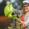 Cost-Benefit Analysis: Polytunnel or Traditional Glasshouse for British Gardeners?
