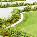 Best Practices for Preventing and Controlling Mould in UK Greenhouse Environments