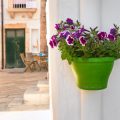 From Windowsill to Patio: Designing the Perfect UK Herb Container Garden