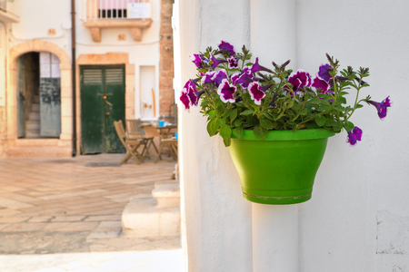 From Windowsill to Patio: Designing the Perfect UK Herb Container Garden