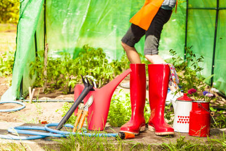DIY Projects: Building Bespoke Organisers and Storage in Your Allotment Shed