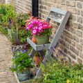 The History and Evolution of Formal and Informal Garden Styles in the UK
