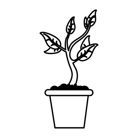Considering British Plants and Garden Styles