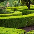 The Ultimate Monthly Garden Maintenance Checklist for UK Gardens