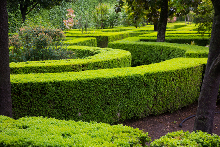 The Ultimate Monthly Garden Maintenance Checklist for UK Gardens