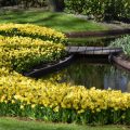 Comparing Classic British Formal Gardens to Informal Cottage Gardens