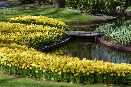 Comparing Classic British Formal Gardens to Informal Cottage Gardens