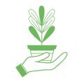 The Ultimate Spring Planting Guide for UK Allotment Gardeners
