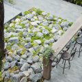 Creating an Outdoor Room: Small Garden Design for Modern Townhouses