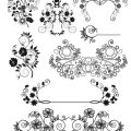Designing a Traditional English Rose Garden: Planning and Layout Tips