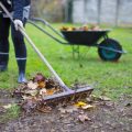 A Deep Dive into Sharpening Shears and Hedge Clippers: Advice for Allotment and Home Gardeners