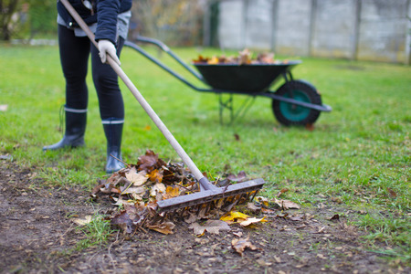 A Deep Dive into Sharpening Shears and Hedge Clippers: Advice for Allotment and Home Gardeners