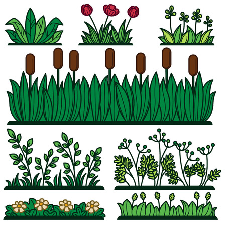 Mapping Out Your Garden Pathways