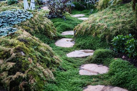 Native British Pond Plants to Attract Wildlife in Your Garden