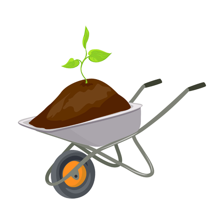 What to Compost: Greens, Browns, and No-Gos