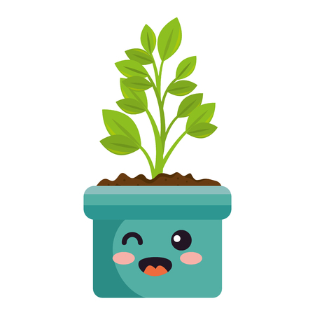 Herb Selection for Every Season
